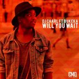 Artwork voor "Will You Wait"