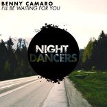 Artwork voor "I'll Be Waiting For You"