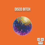 Artwork for "Disco Bitch"