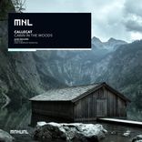 Artwork für "Cabin In The Woods"