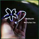 Artwork for "What You Hear, I Felt."