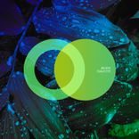 Artwork for "Eagle Eye"