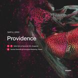 Portada para "Providence"