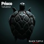 Artwork for "Turbulence"