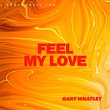Artwork for "Feel My Love"