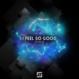 Artwork für "I Feel so Good"
