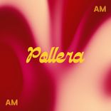 Portada para "Pollera"