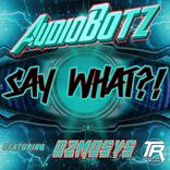 Artwork voor "Say What"