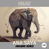 Artwork for "Ana Saya (Indiano Remix)"