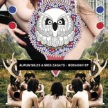 Artwork for "Hideaway, Pt. 1"