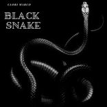 Artwork for "Black Snake"