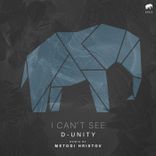 Artwork for "I Can't See"