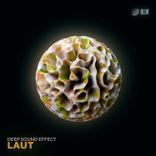 Artwork voor "Laut"