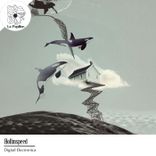 Artwork for "Digital Electronica"