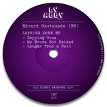 Portada para "Zapping Zonne"