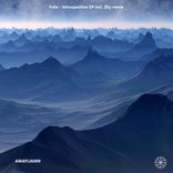 Artwork for "Introspection EP incl. zky remix"