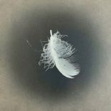 Portada para "Falling"