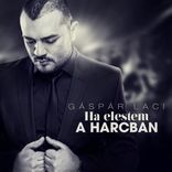 Ha Elestem A Harcban