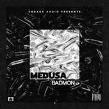 Artwork for "Badmon"