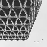 Assumption of The Virgin