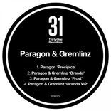 Portada para "Precipice"