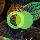 Artwork for "No Fears"