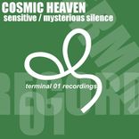 Artwork for "Sensitive / Mysterious Silence"