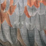 Artwork voor "Fjell"