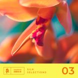 Artwork voor "Silk Selections 03"