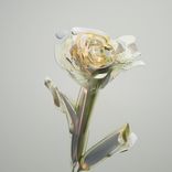 Artwork voor "Estima"