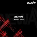 Artwork for "A Moment of Bliss"