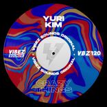 Artwork for "Crazy Things"