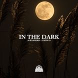 Portada para "In The Dark"