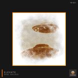 Artwork for "Elevate"