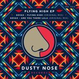 Artwork für "Flying High"