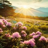 Relaxing Piano Music