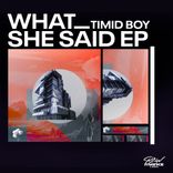 Artwork voor "What She Said"