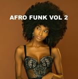 Artwork voor "Afro Funk, Vol. 2"