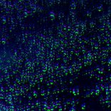 Artwork for "Wipe Away Your Tears"