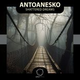 Artwork voor "Shattered Dreams"