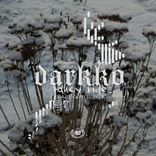 Artwork for "Fancy Ride"