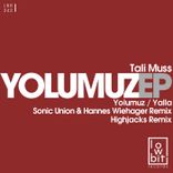 Artwork for "Yolumuz"
