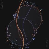 Artwork for "Flutters & Sawyer"