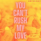 Portada para "You Can't Rush My Love"