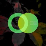 Artwork for "White Shadows"