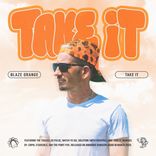 Artwork für "Take It"