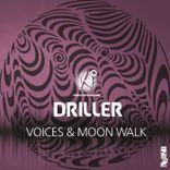 Artwork for "Voices"