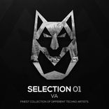 Artwork voor "SELECTION 01"