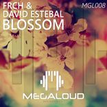 Artwork for "Blossom"