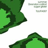 Artwork for "Sugar Glider"